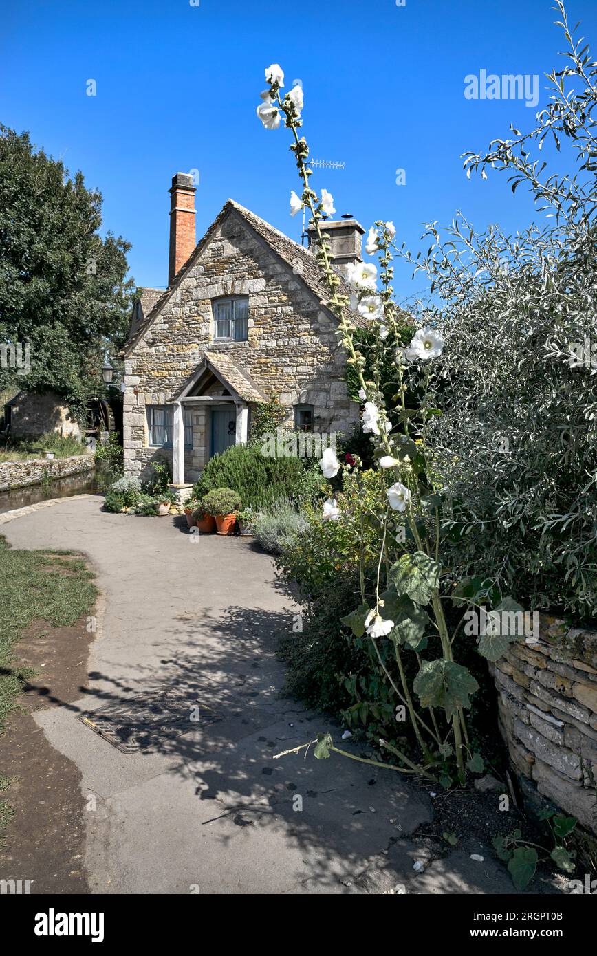 Lower Slaughter House, Cotswold, pittoresco cottage costruito in pietra tradizionale con grande fiore di hollyhock, Inghilterra, Regno Unito, Foto Stock