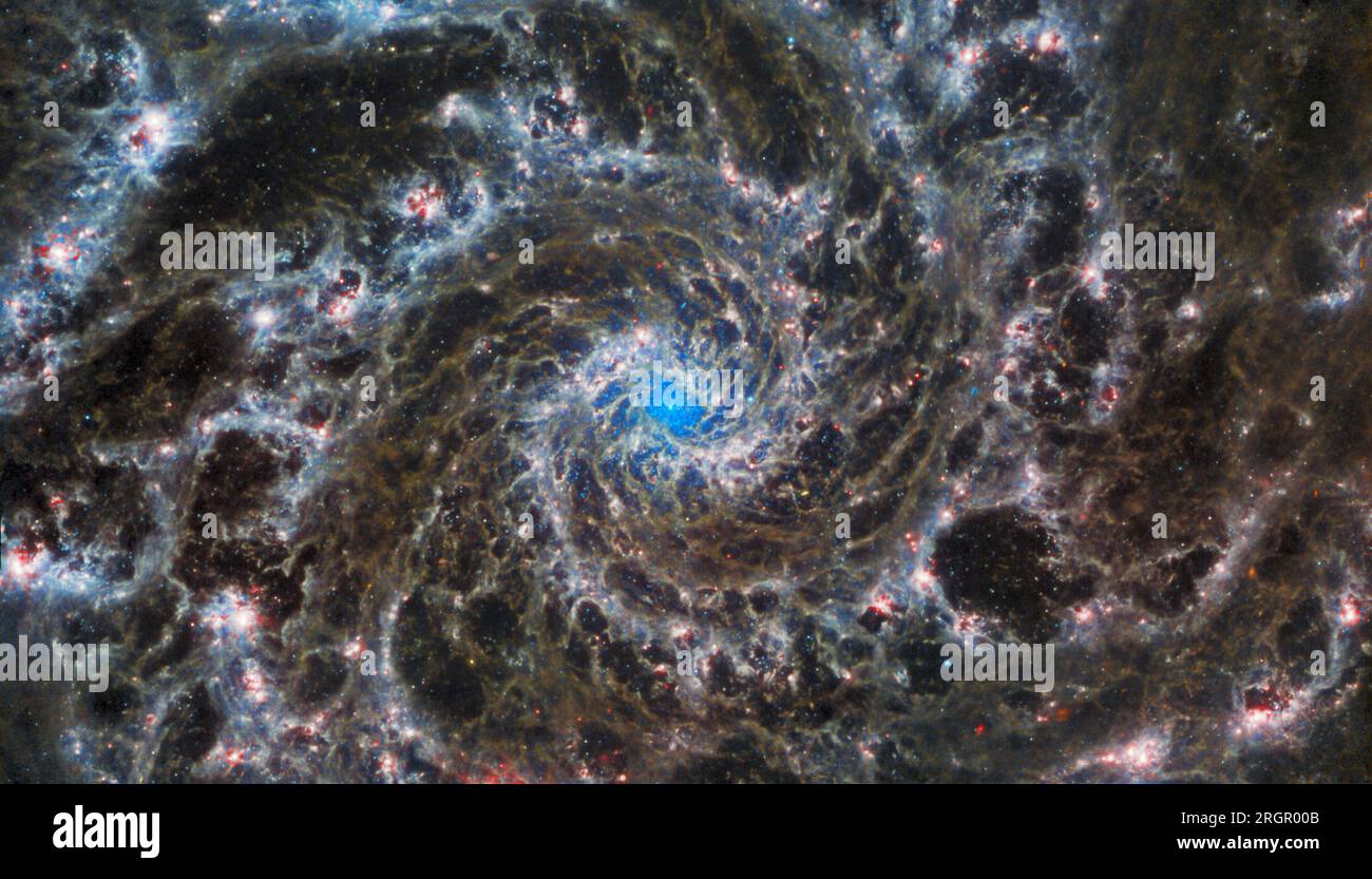 Il cuore di Messier 74, altrimenti noto come la Galassia fantasma, nella costellazione dei pesci. I delicati filamenti di gas e polvere sono visibili nel mag Foto Stock