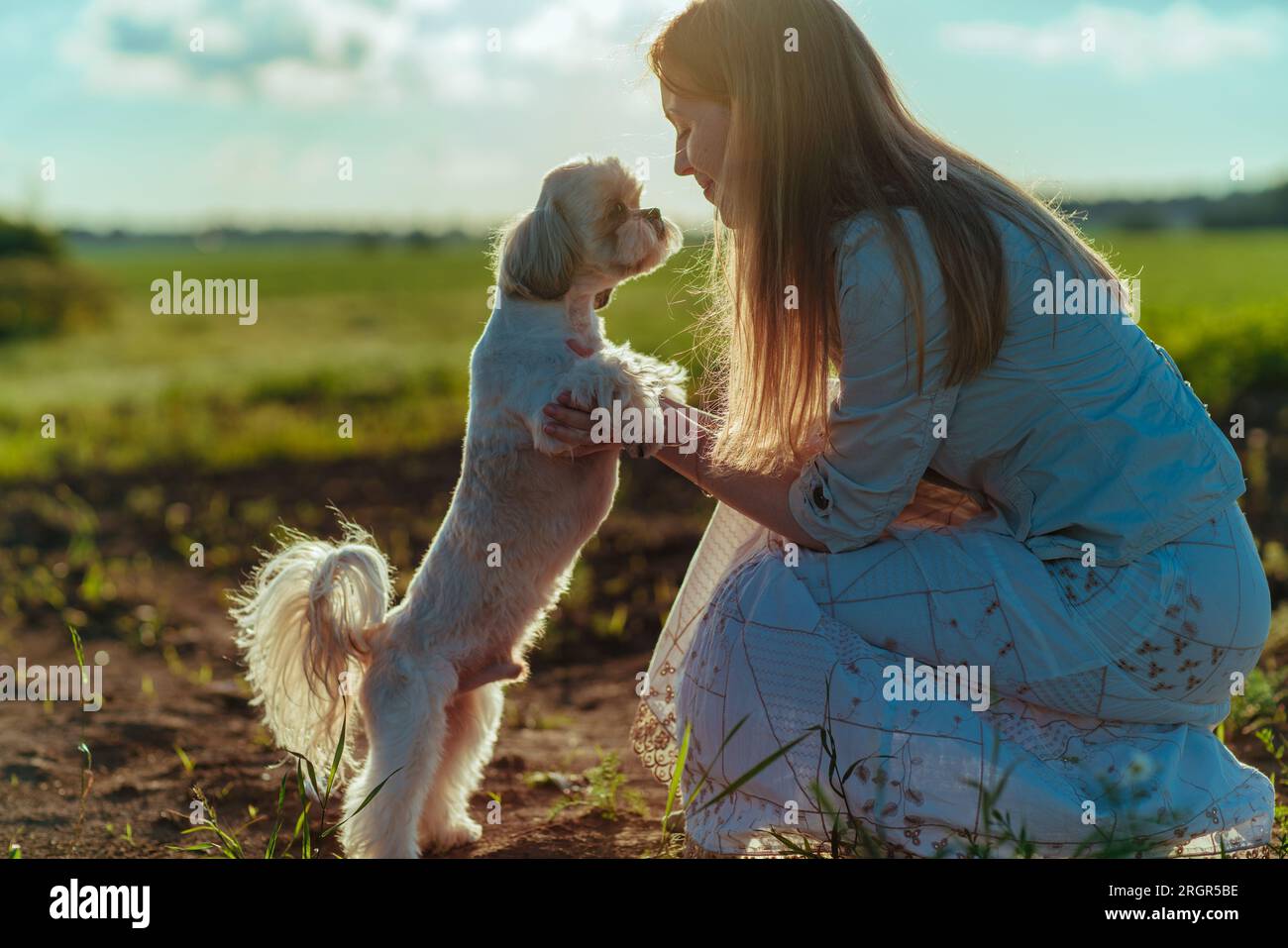 Giovane donna che abbraccia un cane shih tzu in un campo Foto Stock
