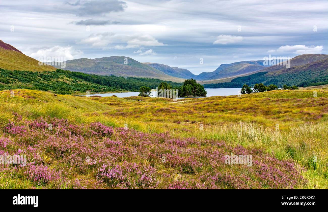 Loch Ossian Corrour Scozia le isole e le colline di Loch in estate Foto Stock