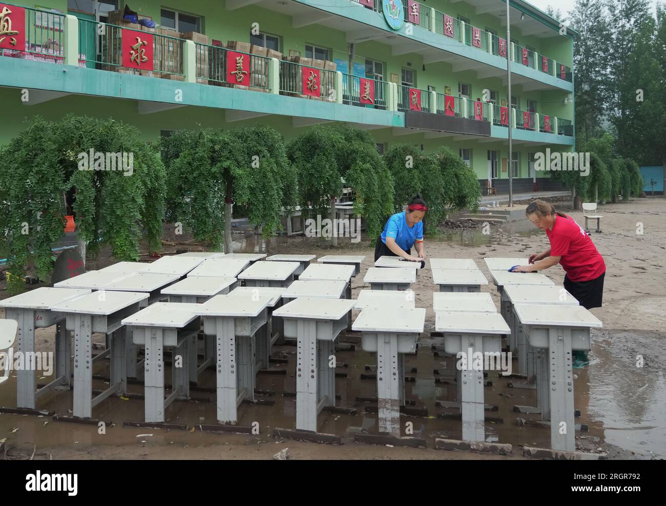 Laishui, provincia cinese di Hebei. 11 agosto 2023. Gli insegnanti puliscono le scrivanie in una scuola nella città di Qizhongkou della contea di Laishui, nella provincia di Hebei nella Cina settentrionale, 11 agosto 2023. Alcune scuole, situate nelle zone montagnose della contea di Laishui, hanno recentemente svolto lavori di recupero post-alluvione. Il personale competente ha studiato accuratamente le scuole per potenziali rischi per la sicurezza, pulito i campus e ha effettuato la disinfezione per la prevenzione e il controllo delle epidemie. Crediti: Yang Shiyao/Xinhua/Alamy Live News Foto Stock