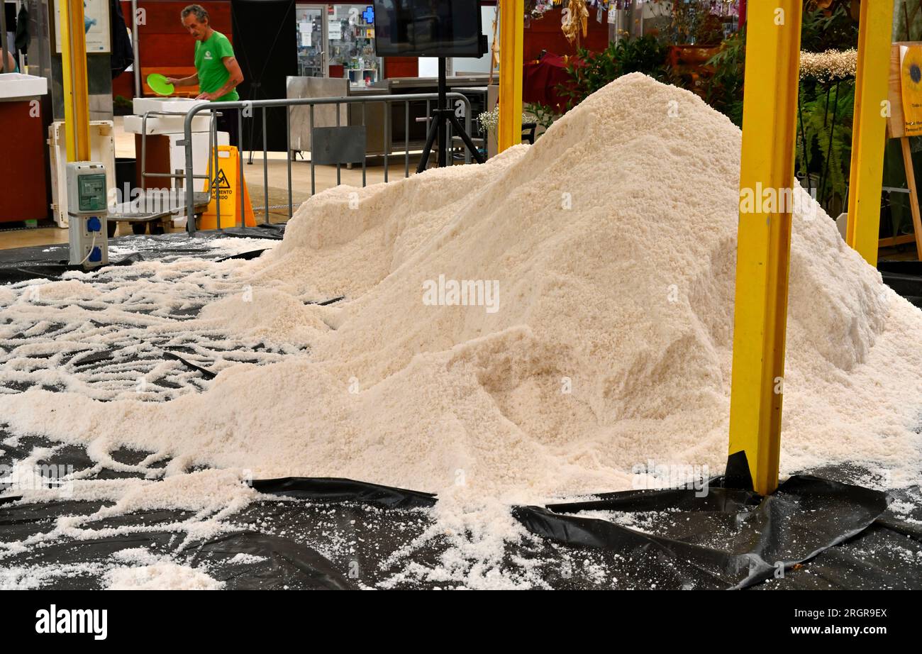 Tumulo di sale marino prodotto localmente nel mercato locale di Mercado Coletivo Aveiro, Portogallo Foto Stock