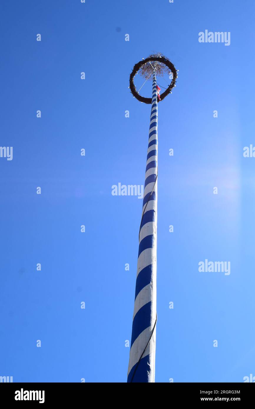 Maibaum in Belgio Foto Stock