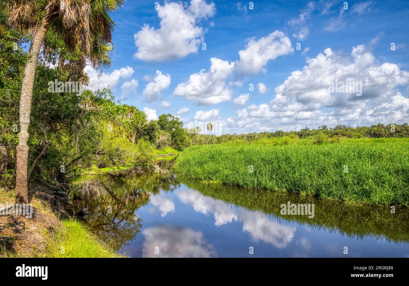 Nuvole bianche e cielo blu che si riflettono nel fiume Myakka nel Myakka River State Park a Sarasota, Florida, USA Foto Stock