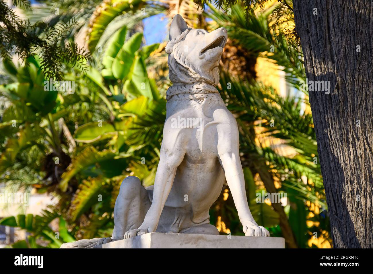 Alicante, Spagna, antica scultura di un lupo o di un cane decorato nel parco pubblico di Canalejas. Il punto di riferimento è il parco più antico della città. Foto Stock