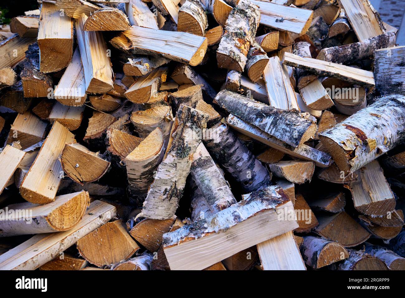 Betulla ha tagliato la legna da ardere impilata in una pila. Clouse-up, schema. Foto Stock