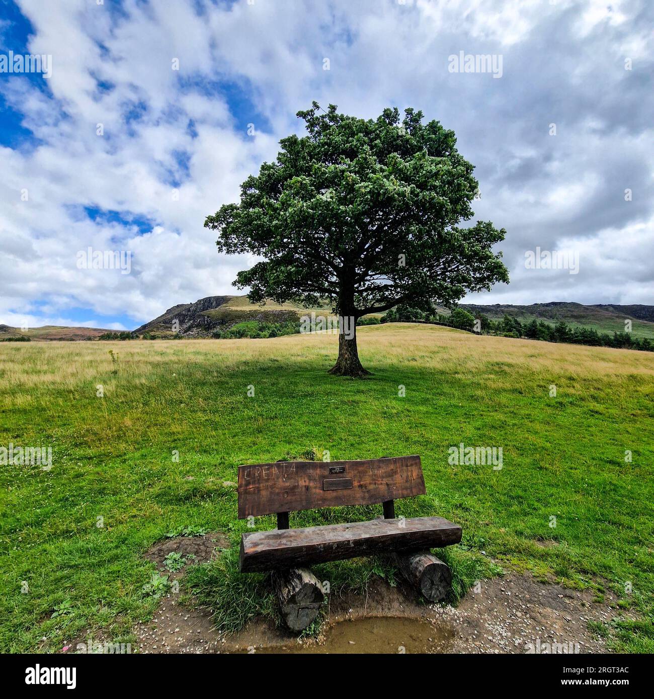 In una splendida giornata estiva, con il sole che splende brillantemente e alcune nuvole delicate che punteggiano il cielo azzurro, una passeggiata presso il lago artificiale Dovestone offre un'esperienza indimenticabile Foto Stock