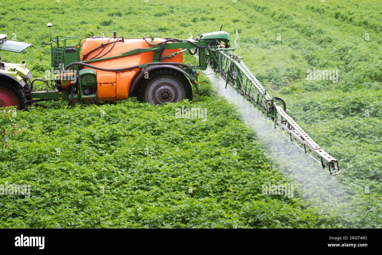 Spruzzare pesticidi su colture di patate Foto Stock