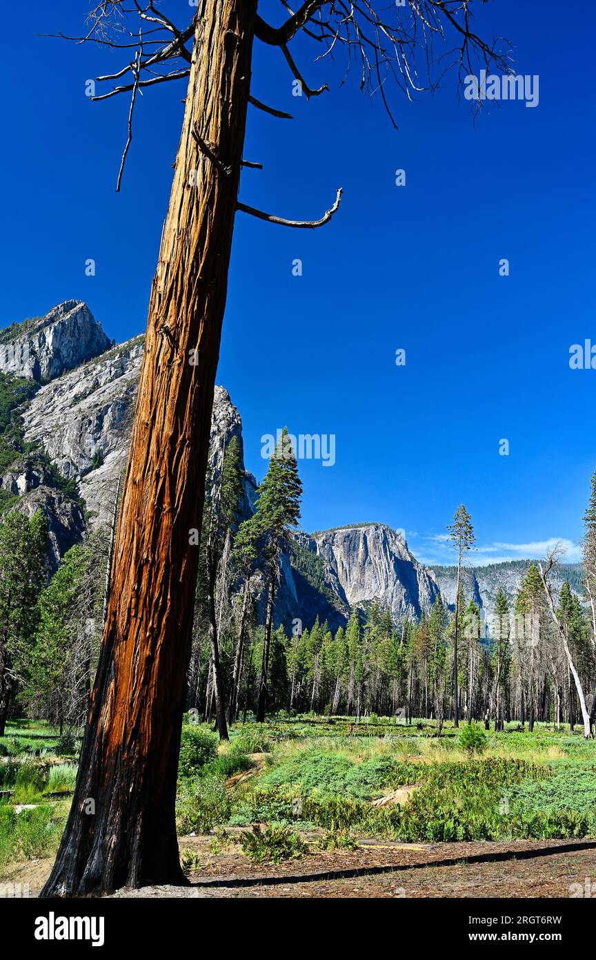 Splendido panorama della Yosemite Valley, California, Stati Uniti Foto Stock