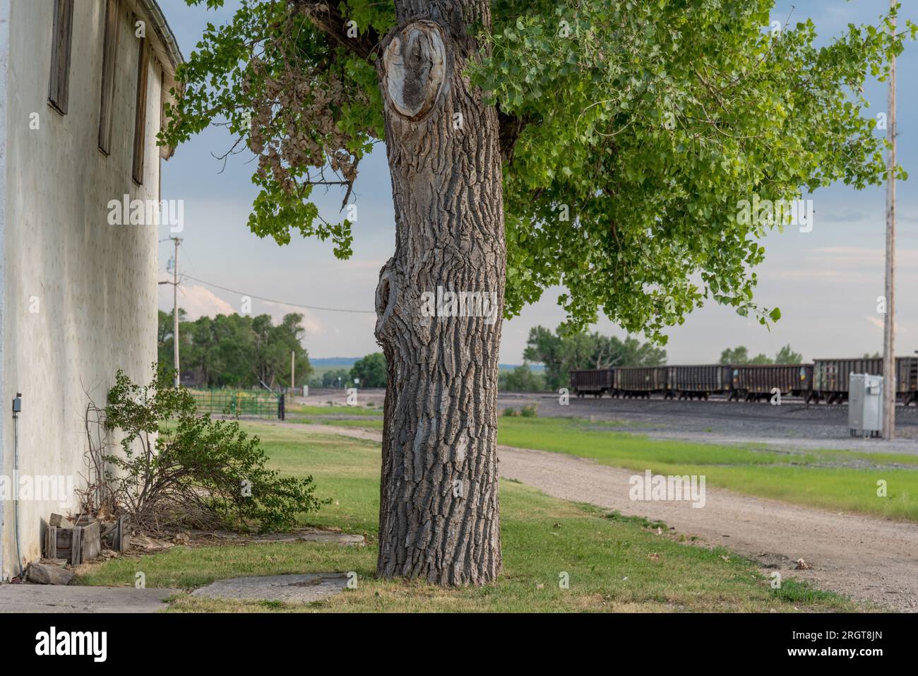 La città fantasma di Ardmore, South Dakota, aveva una popolazione di 1 abitanti nel censimento del 2020. Si trova a circa 1,5 km dal confine del Nebraska nel South Dakota sull'autostrada 71. Foto Stock