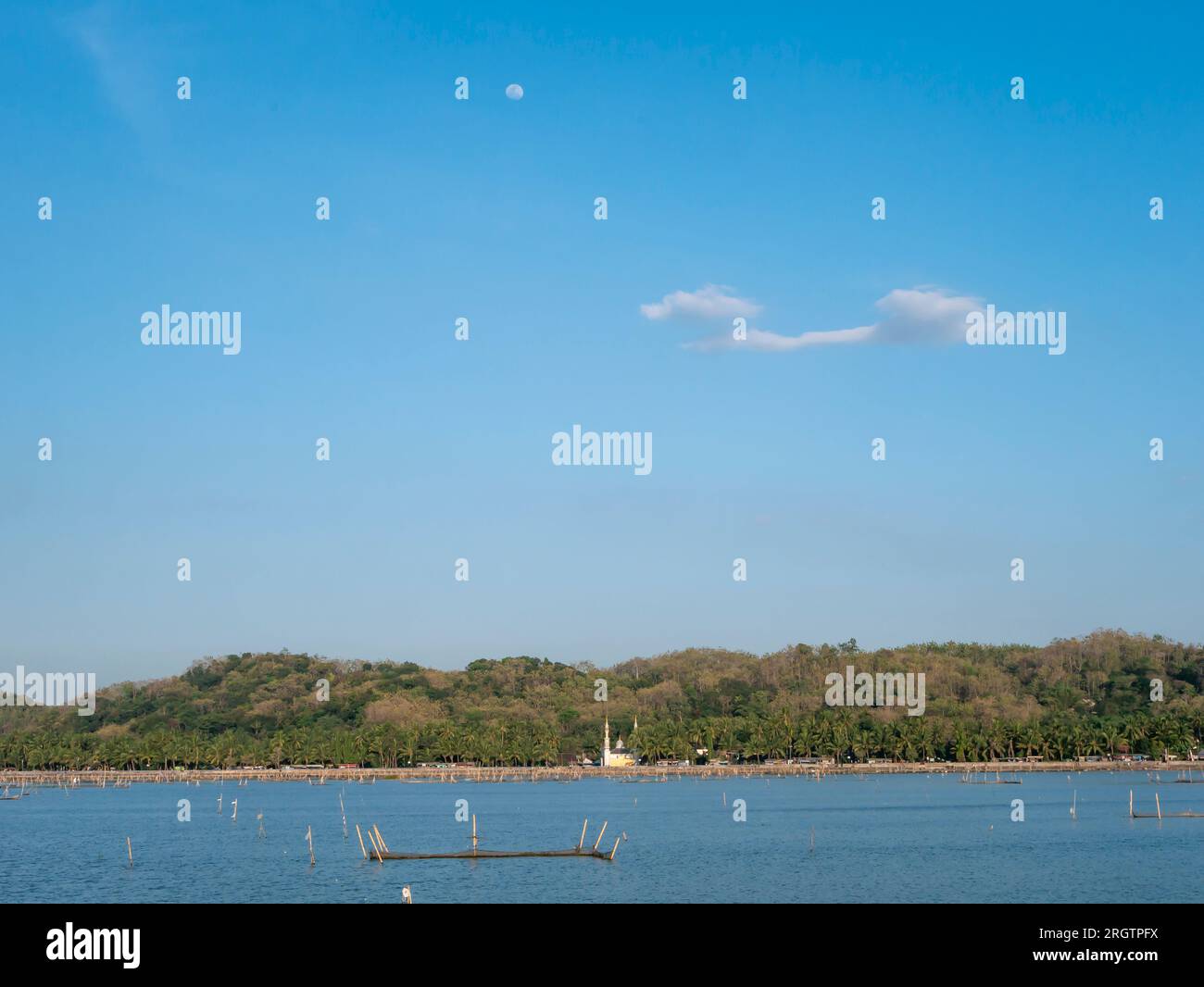 Un paesaggio naturale nel lago Rowo Jombor, Klaten, Indonesia. Foto Stock