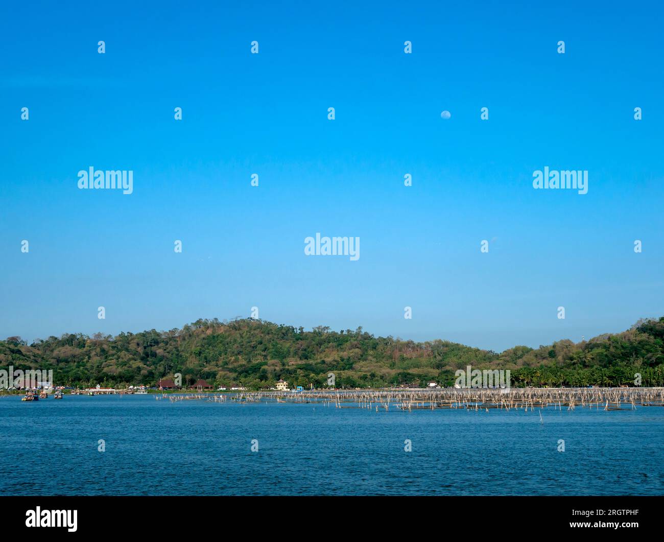 Un paesaggio naturale nel lago Rowo Jombor, Klaten, Indonesia. Foto Stock
