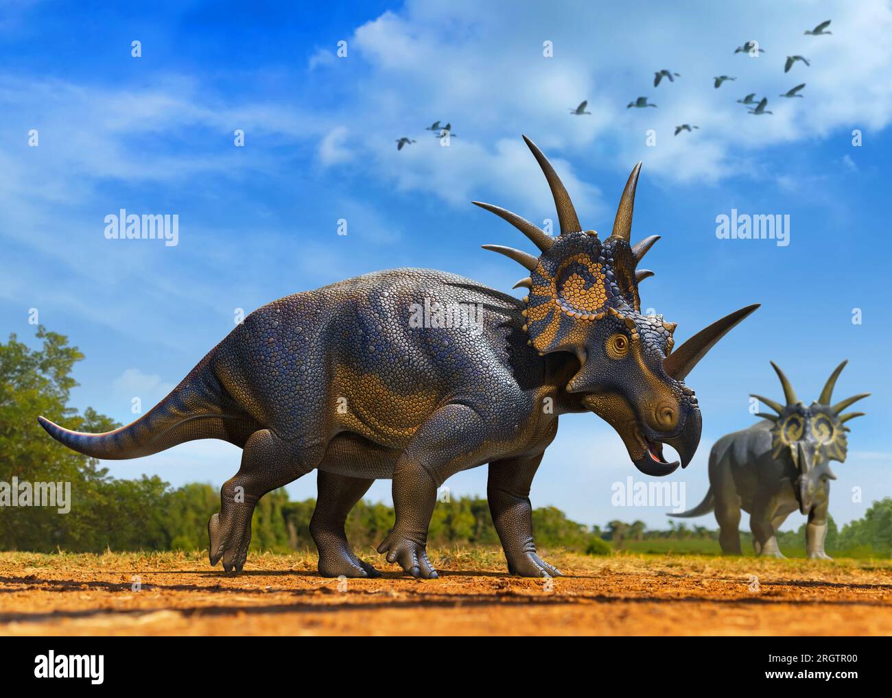 Styracosaurus Foto Stock