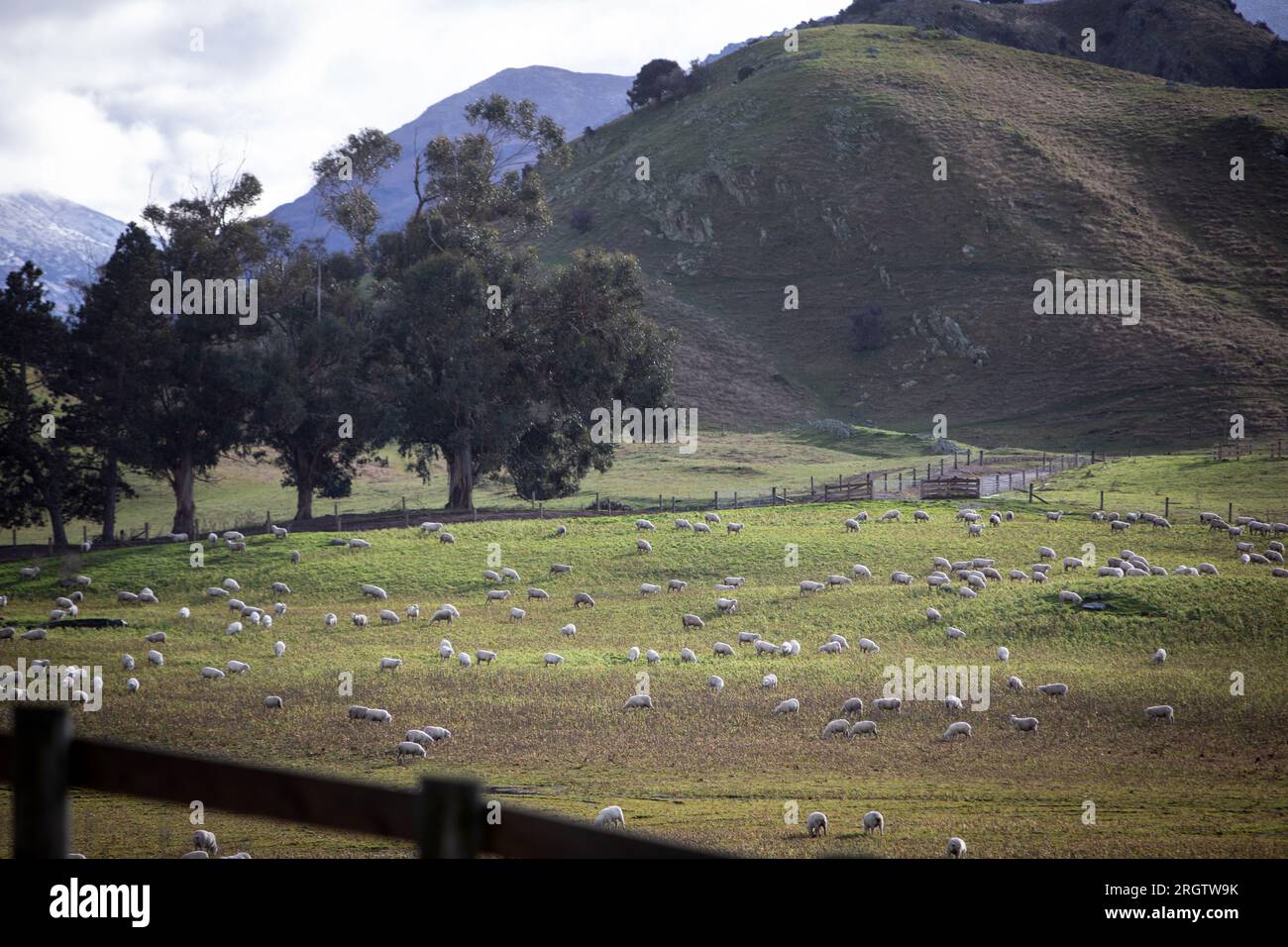 Inverno a Central Otago, nuova Zelanda Foto Stock
