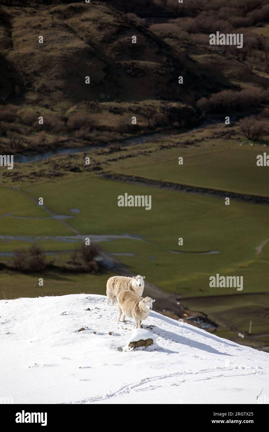 Inverno a Central Otago, nuova Zelanda Foto Stock