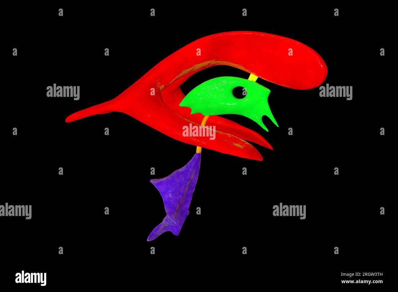 Sistema ventricolare del cervello, illustrazione Foto Stock