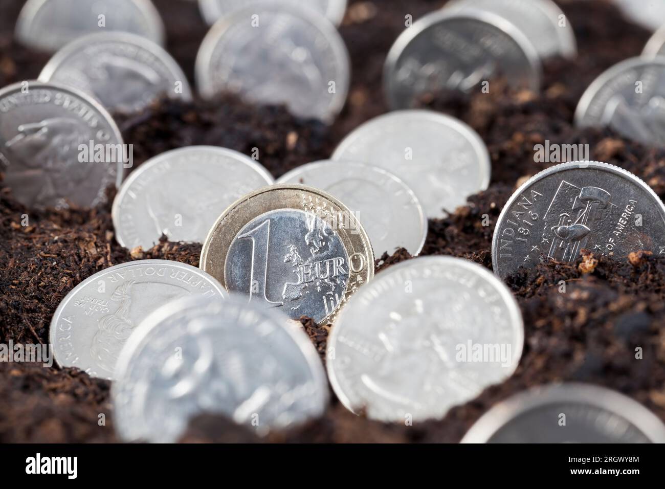 Dollari americani e un euro nel terreno di un campo agricolo, un campo agricolo con terreno fertile e denaro americano Foto Stock