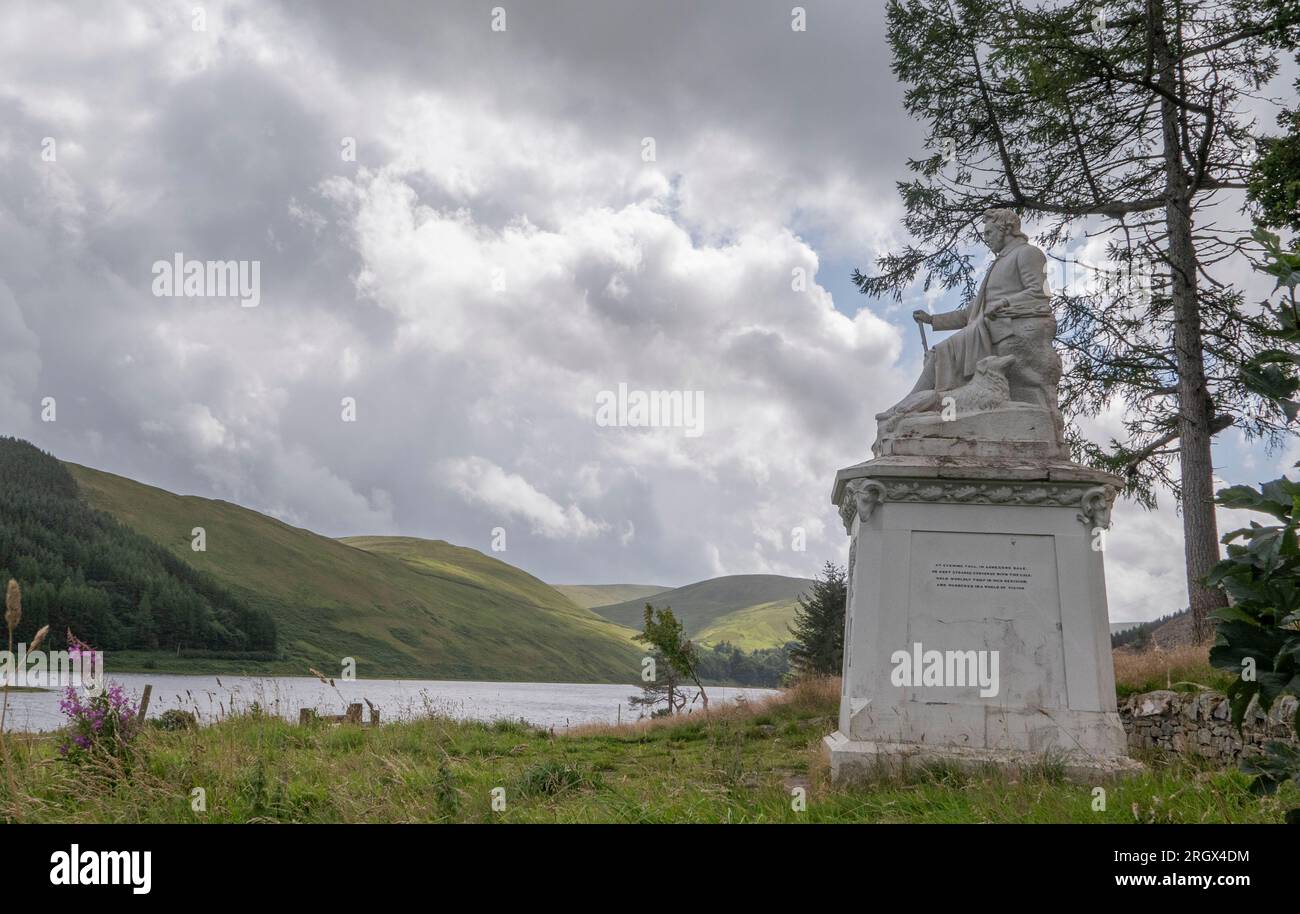 Ettrick Shepherd, Loch of the Lowes/St Marys Loch, Scottish Borders. A proposito del monumento a James Hogg, il monumento è stato svelato nel 28 giugno 1860 in onore di Ettrick Shepherd, James Hogg, un poeta locale, romanziere e saggista vissuto tra il 1770 e il 21 novembre 1835. Lavorò come pastore dall'età di 7 anni e si autoeducò, pubblicando la sua letteratura mentre lavorava sulla terra durante la sua vita. La statua si affaccia su uno dei suoi luoghi preferiti, affacciato su entrambi i laghi e sull'ormai chiuso Tibbie Shiels Inn, dove incontrava il suo amico, Sir Walter Scott. Picture Phil Wilkinson Credit: phil Foto Stock