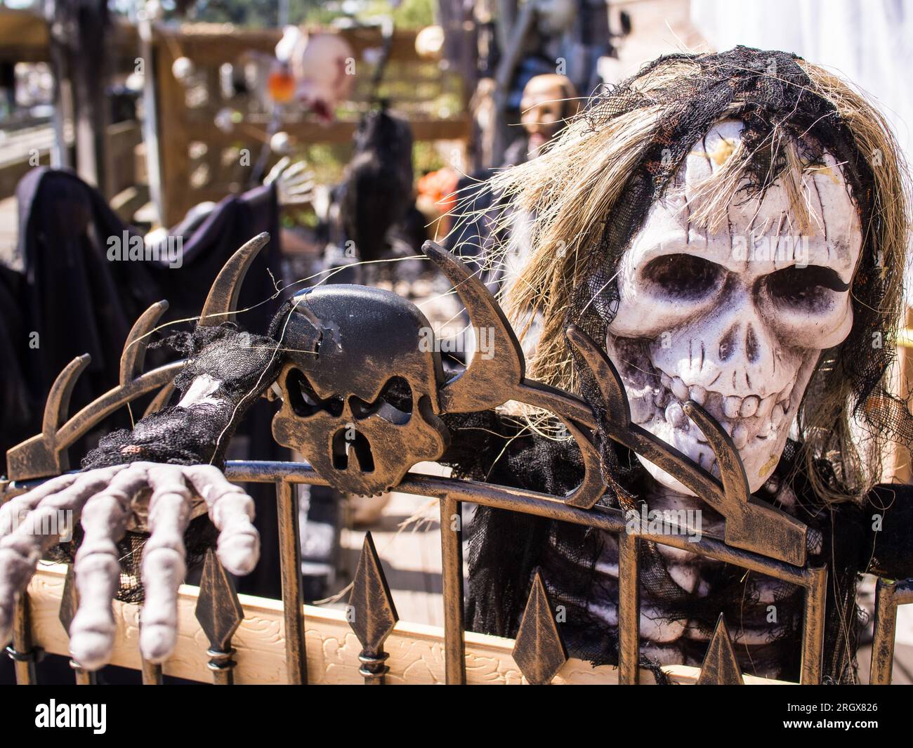 Un teschio peloso presente in queste decorazioni di Halloween. Foto Stock