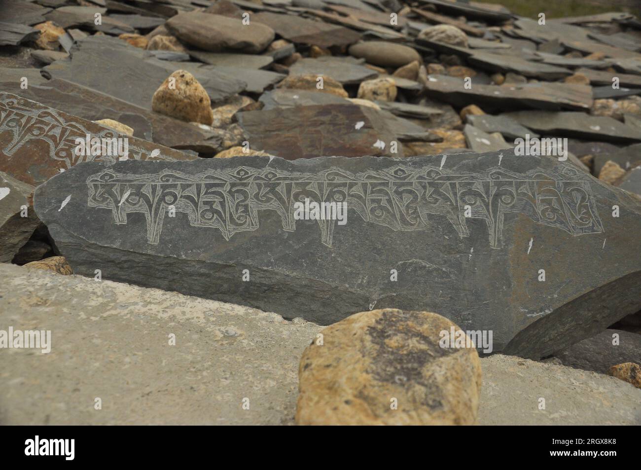 Pietre incise con mantra buddista Om mani Padme Hum a Ladakh, INDIA Foto Stock