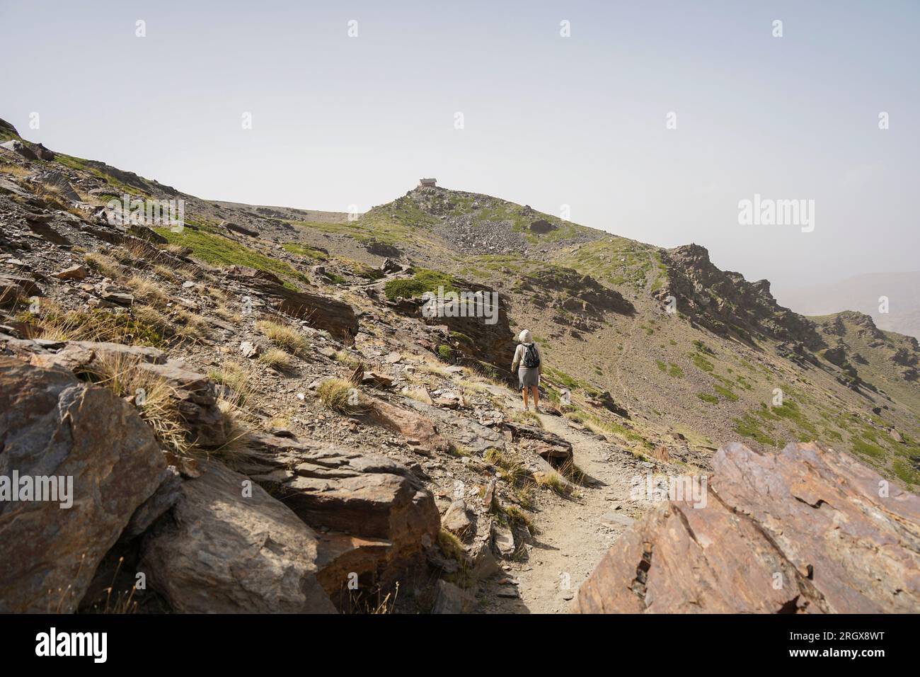 Escursionista che cammina da sola in montagna, Sierra Nevada, nella stagione estiva. Granada, Andalusia, Spagna. Foto Stock
