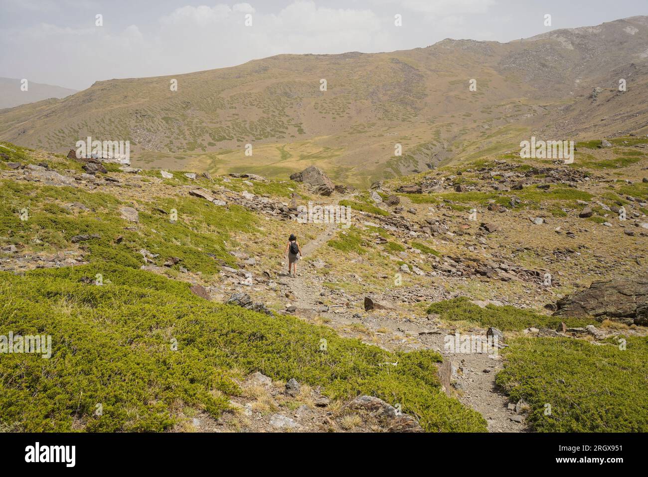 Escursionista che cammina da sola in montagna, Sierra Nevada, nella stagione estiva. Granada, Andalusia, Spagna. Foto Stock