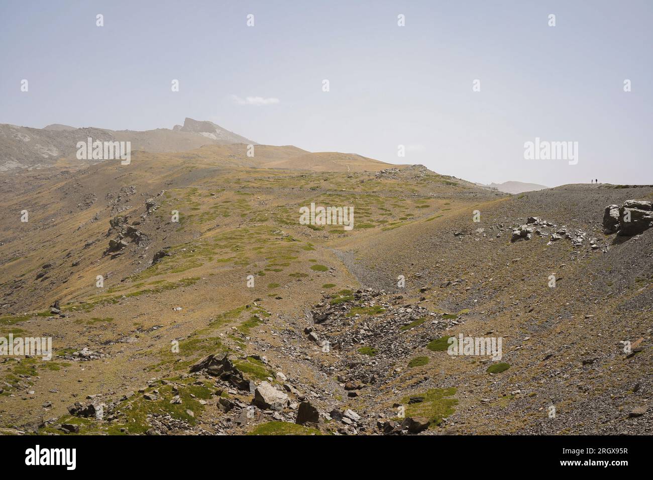 Parco nazionale della Sierra nevada a 2500 metri di altitudine. Con Pico Valeta Granada, Andalusia, Spagna. Foto Stock