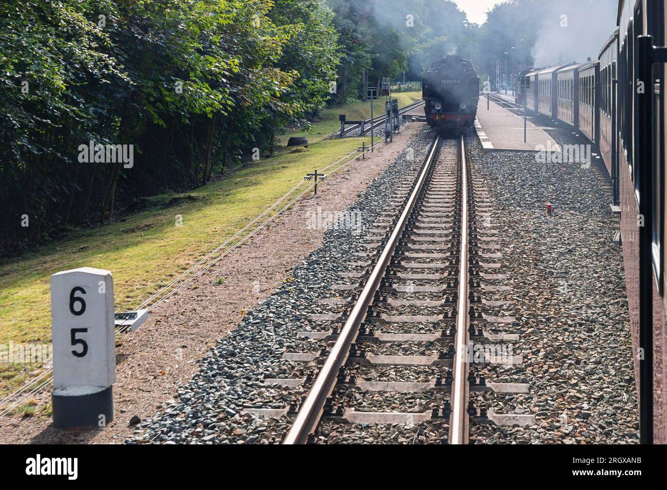 Storico treno a vapore nel Meclemburgo Foto Stock