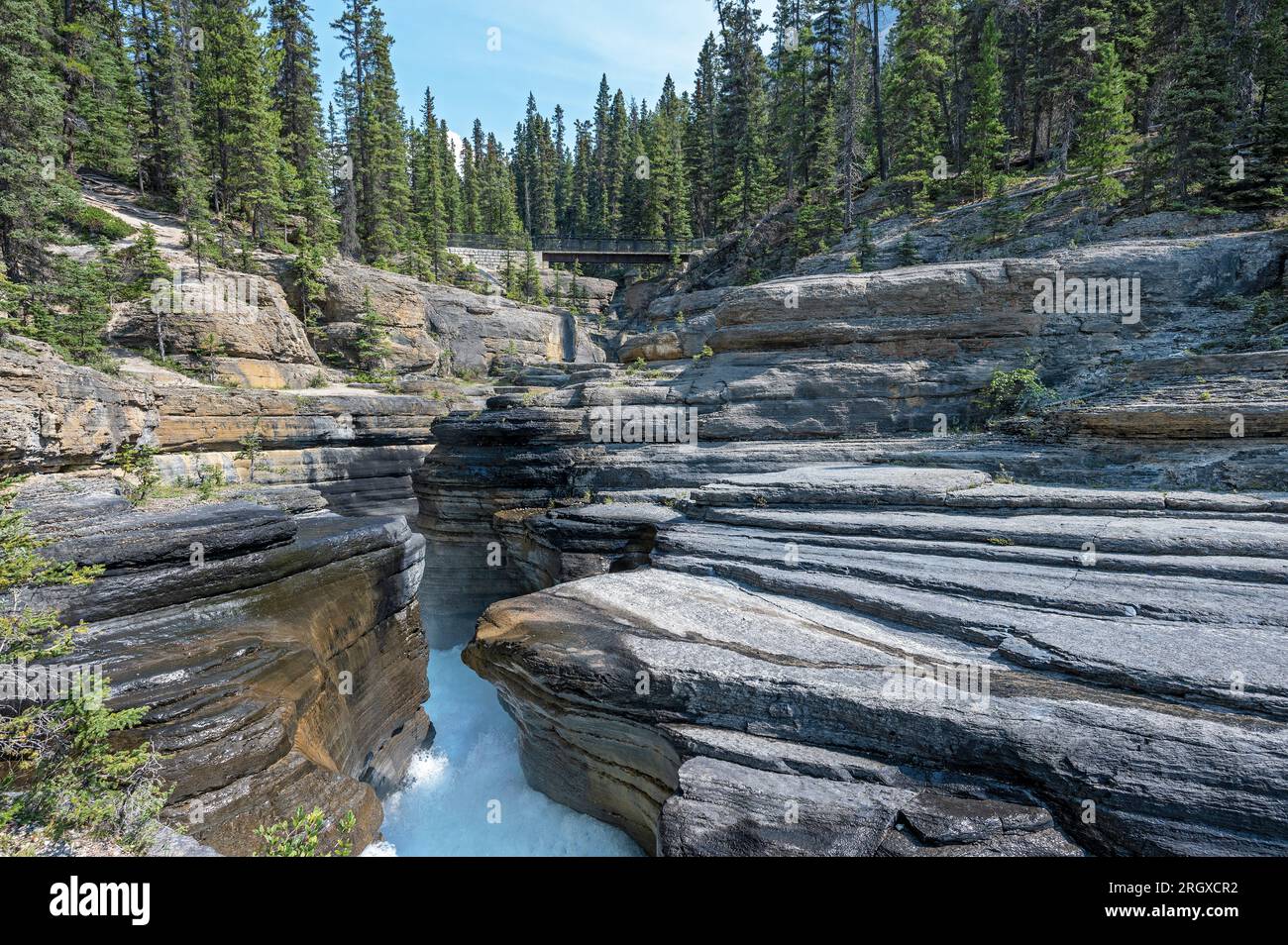 Formazioni rocciose erose con il fiume Mistaya nel Parco Nazionale di Banff, Alberta, Canada Foto Stock