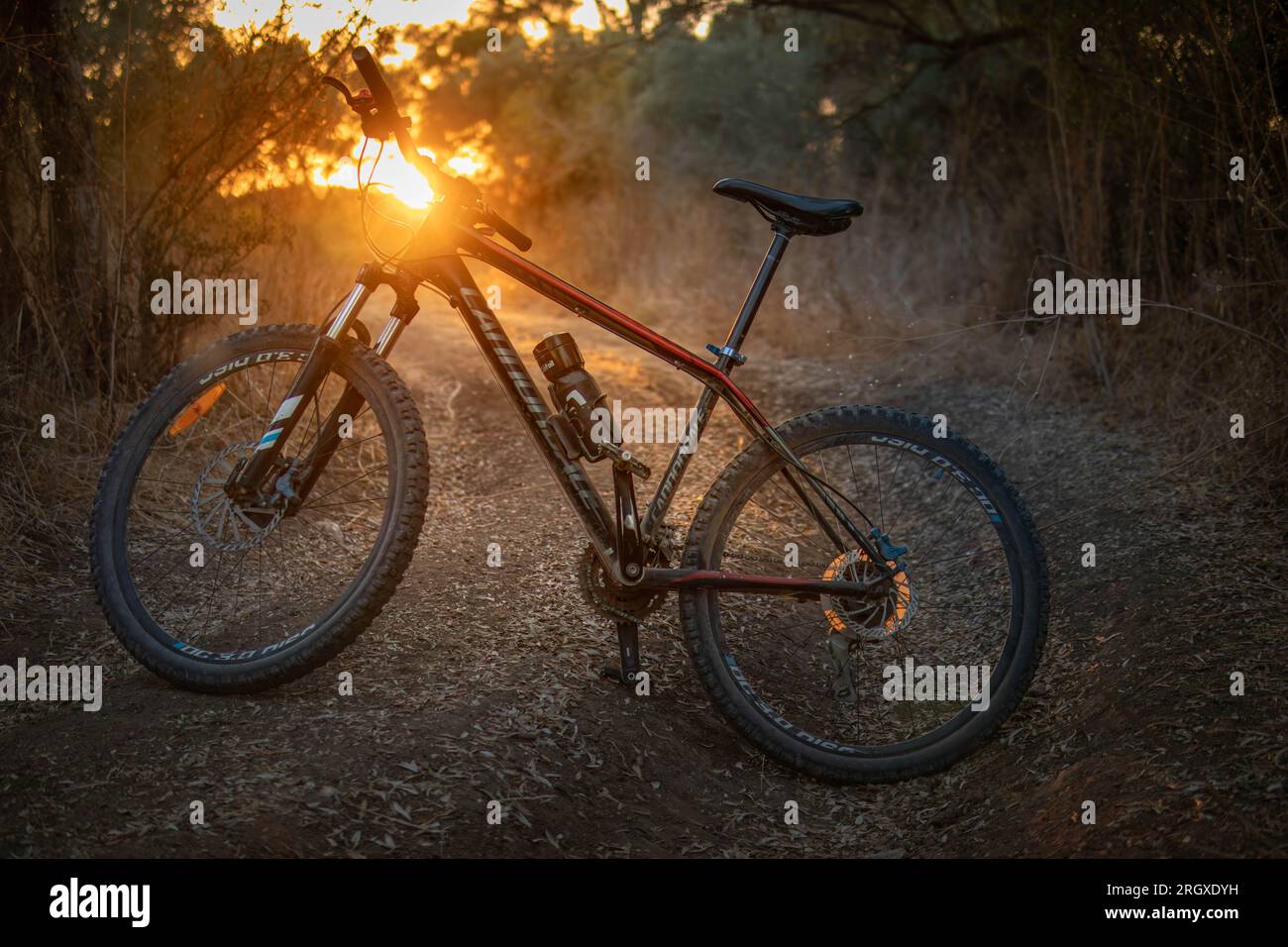 Ein stehendes Fahrrad im Gegenlicht, eines Sonnenuntergangs mit herrlicher goldenen Stimmung von der Seite fotografiert Foto Stock