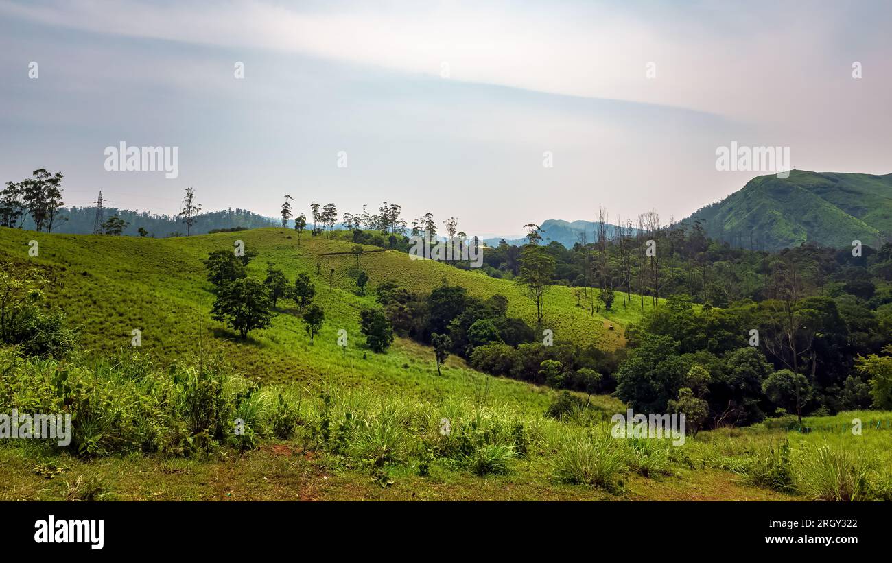 Viaggiando verso il punto panoramico della collina Parunthumpara. Parunthumpara è un villaggio nello stato indiano del distretto di Idukki del Kerala. Foto Stock