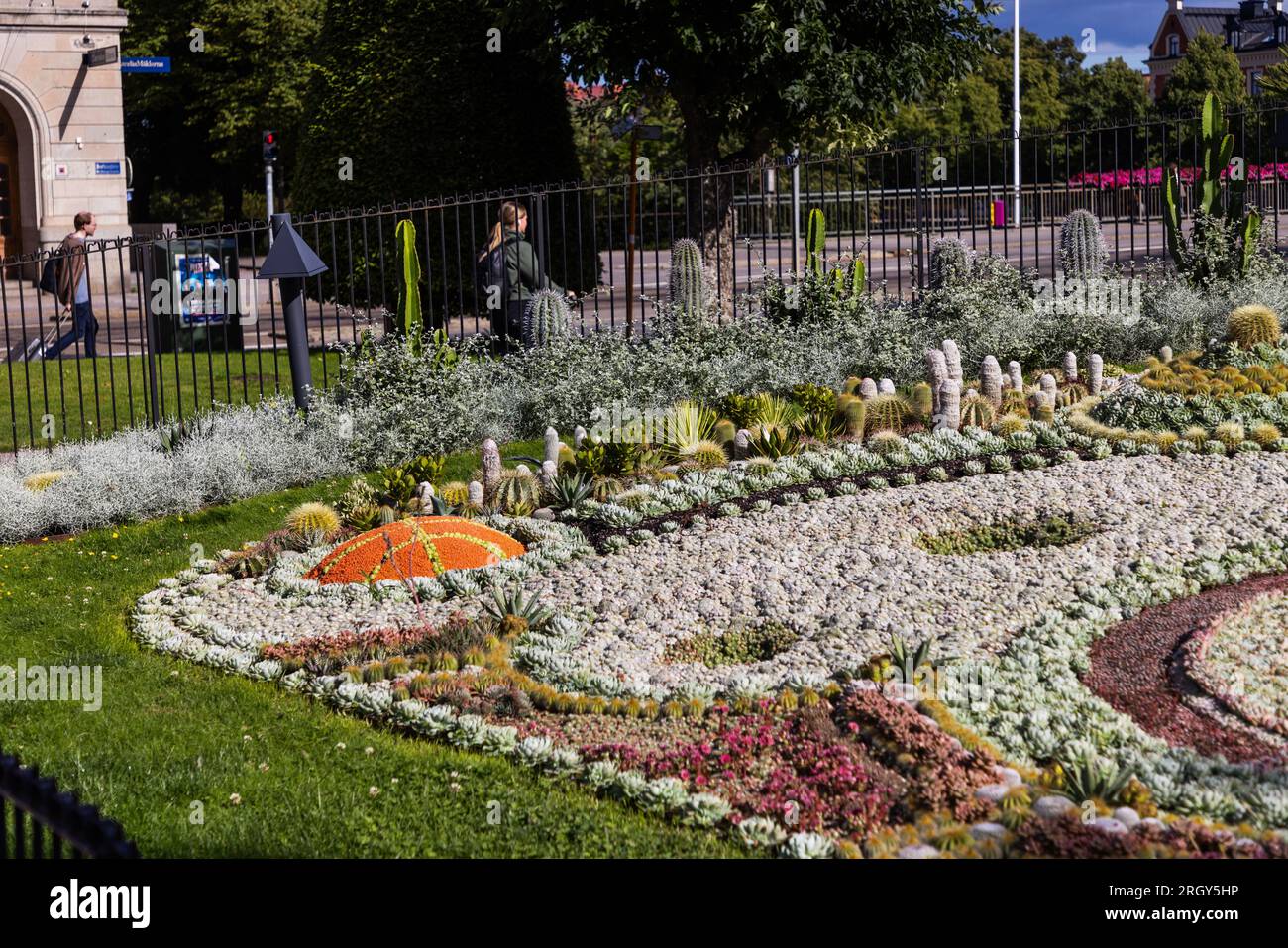 Il cactus piantato nel parco Karl Johans nel centro di Norrköping, Svezia. Il tema di quest'anno celebra il 60° anniversario del club di basket Norrköping Dolphins. Foto Stock