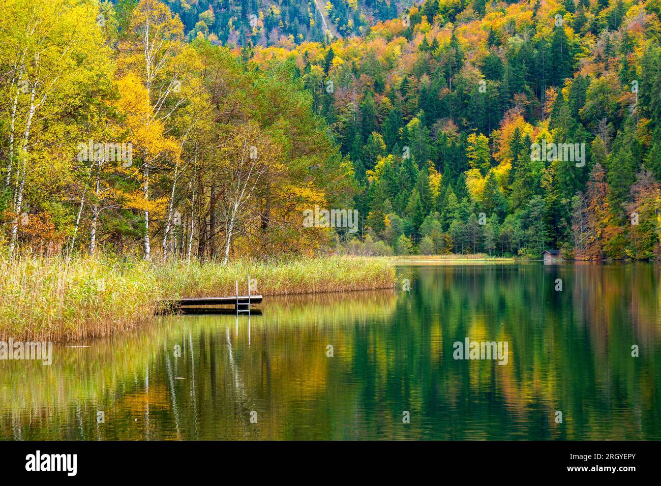 vista panoramica del paesaggio rurale con foglie colorate vivaci su alberi con riflessi nel lago Foto Stock