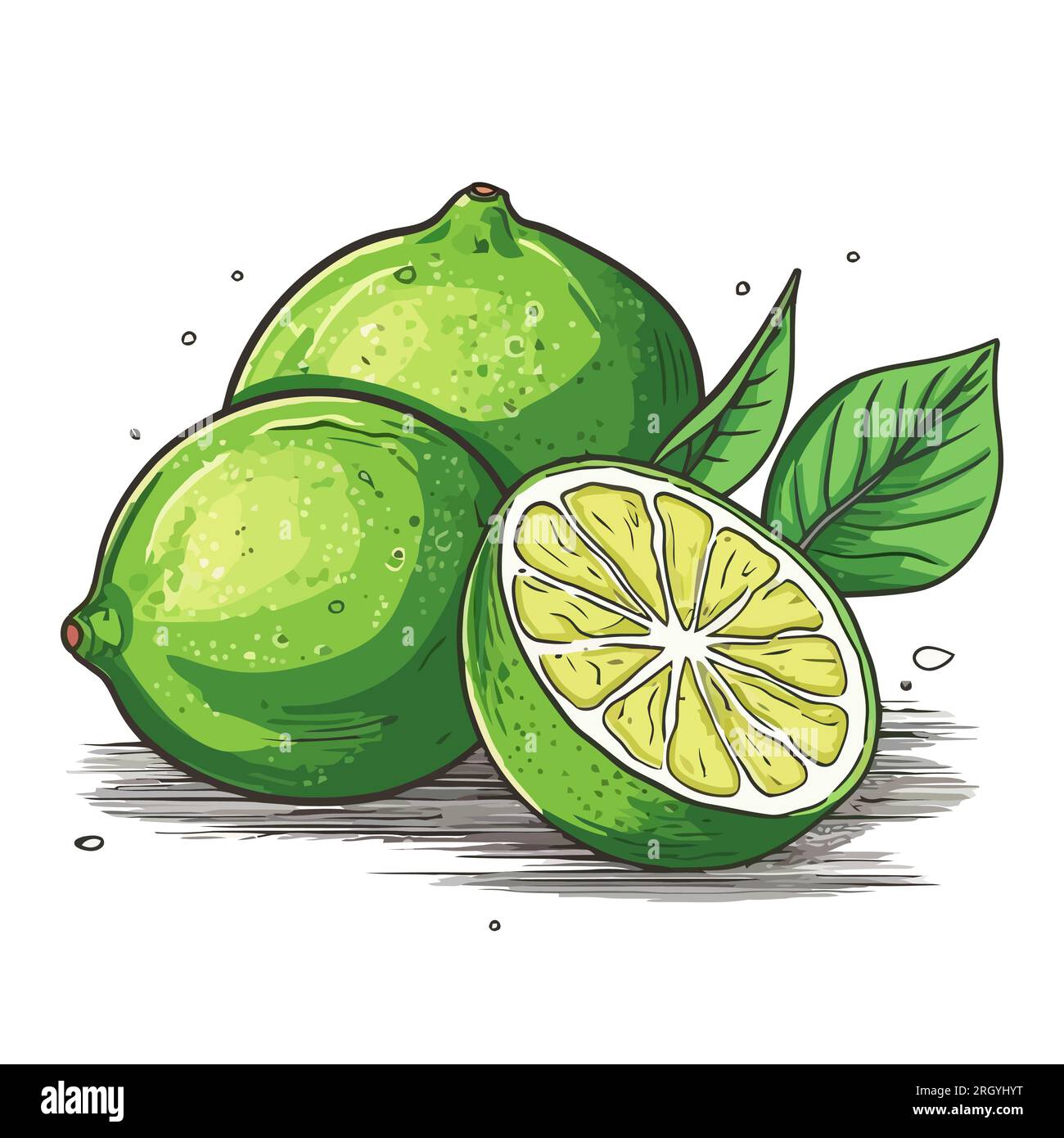 Lime verde. Immagine calce isolata. Limone a fette in design piatto. Illustrazione vettoriale Illustrazione Vettoriale