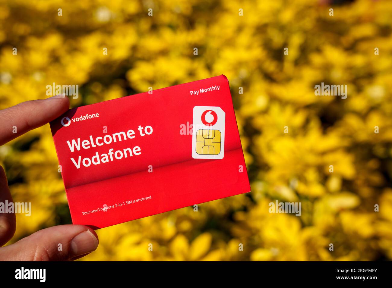 Busta per scheda SIM Vodafone. Immagine ravvicinata con sfondo sfocato e spazio di copia. Stafford, Regno Unito, 12 agosto 2023 Foto Stock
