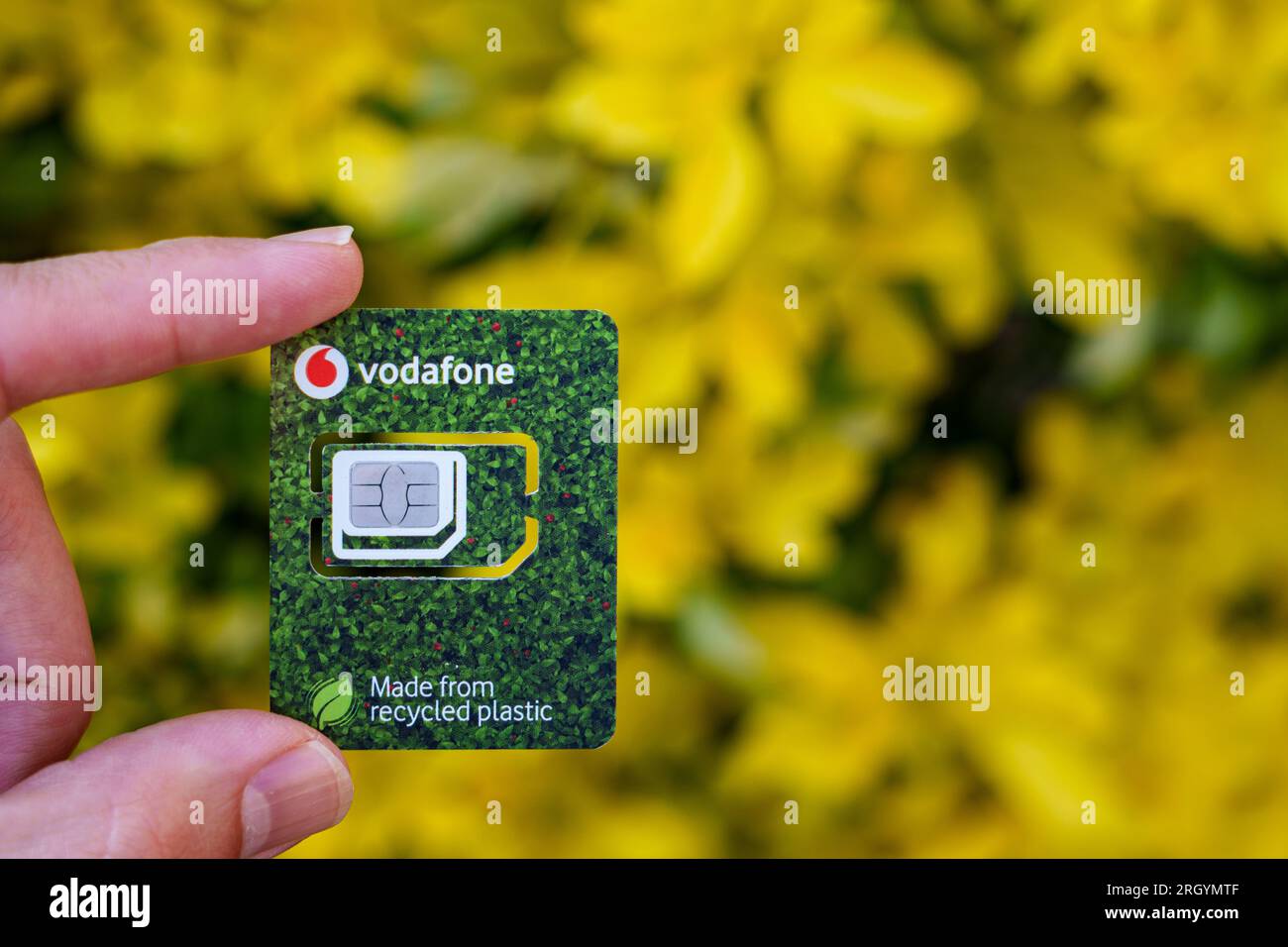 Scheda SIM Vodafone realizzata in plastica riciclata. Immagine ravvicinata con sfondo sfocato e spazio di copia. Stafford, Regno Unito, 12 agosto 2023 Foto Stock