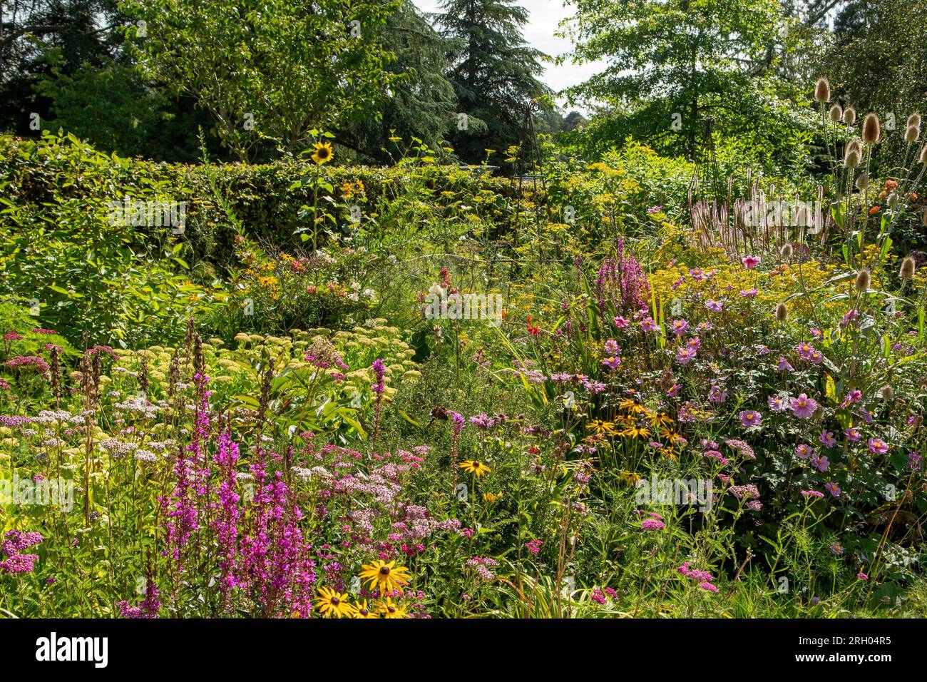 Trentham Estate Gardens, Stoke-on-Trent, Staffordshire, Inghilterra Foto Stock