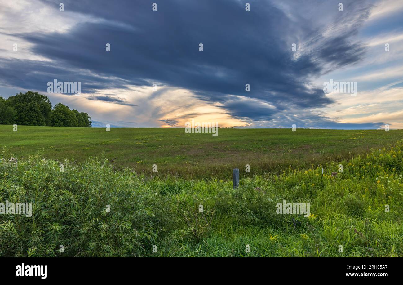 Nubi di tempesta che passano sopra un campo di fieno nel Wisconsin settentrionale. Foto Stock