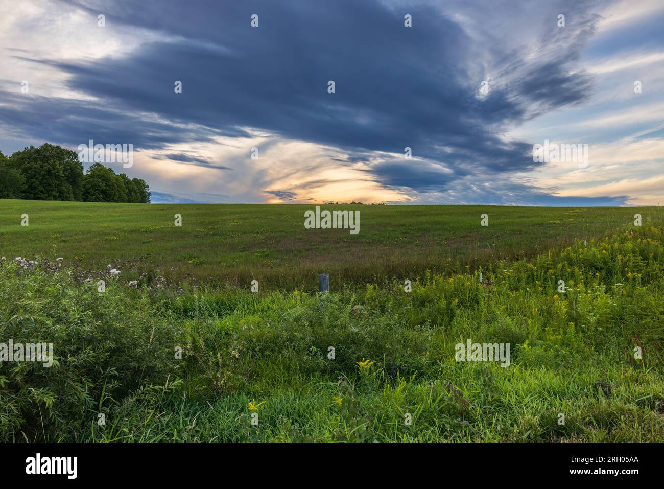 Nubi di tempesta che passano sopra un campo di fieno nel Wisconsin settentrionale. Foto Stock