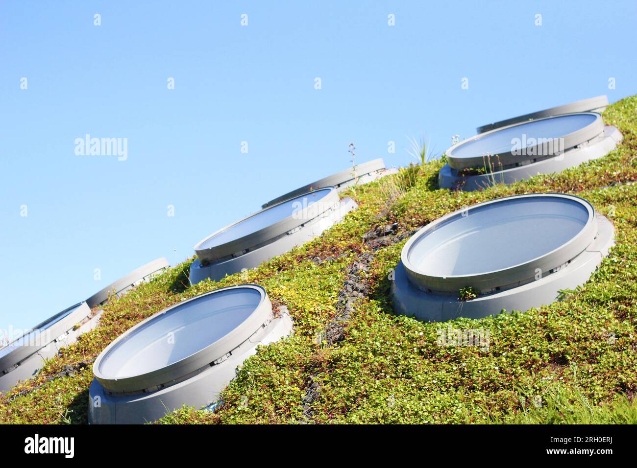 lucernari di forma circolare su una superficie ondulata di erba, sullo sfondo il cielo azzurro. Architettura moderna sostenibile, architettura aco, b Foto Stock