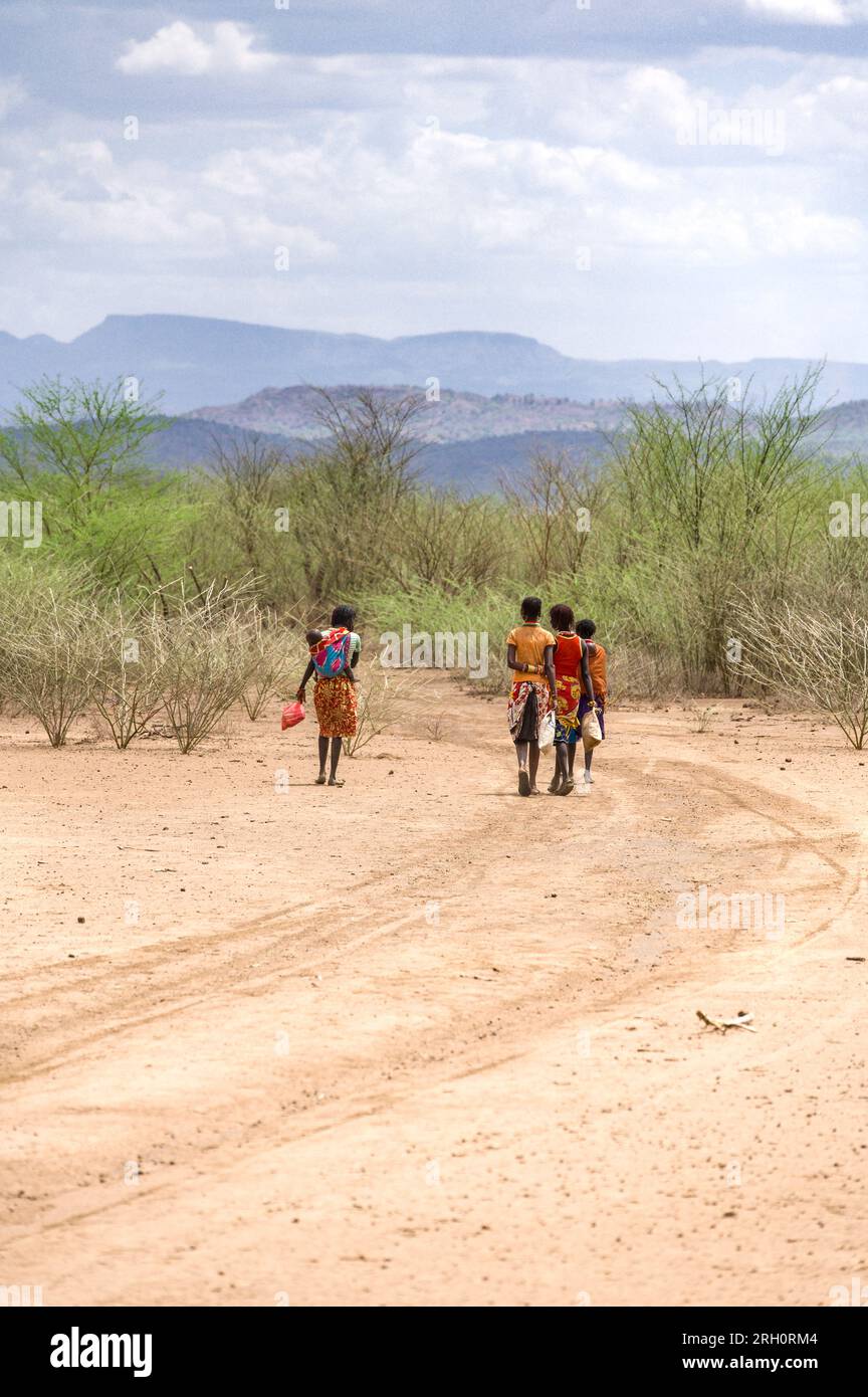 Un gruppo di giovani donne Pokot camminano lungo una pista polverosa verso grandi cespugli con colline sullo sfondo, Pokot, Kenya Foto Stock