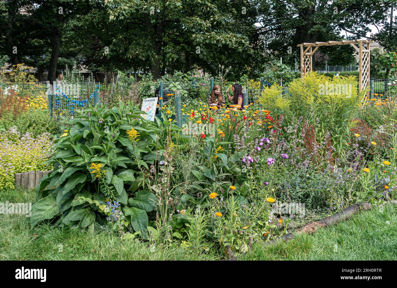 Uno dei giardini della comunità nei Meadows Community Gardens, nel centro di Edimburgo, in Scozia, che furono fondati nel 2017 da Greening Our Street. Foto Stock