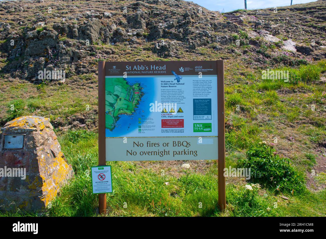 Segno di St. Abbs Head scogliere costiere in estate vicino al villaggio di St Abbs, Berwickshire, Scozia, Regno Unito. Foto Stock