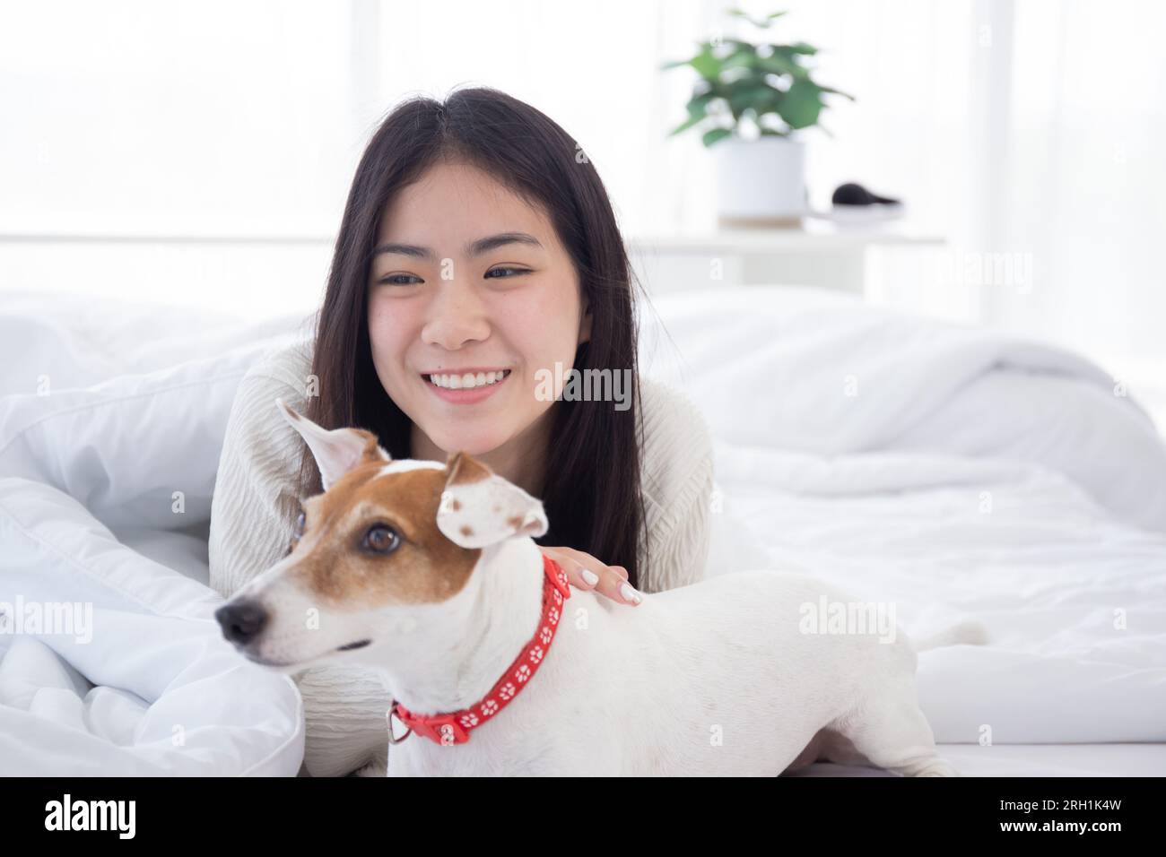 Bella giovane donna asiatica giocherellone con cane soffice per rilassarsi con amore sul letto in camera da letto a casa, amici animali domestici con compagno, amicizia di donna e Foto Stock
