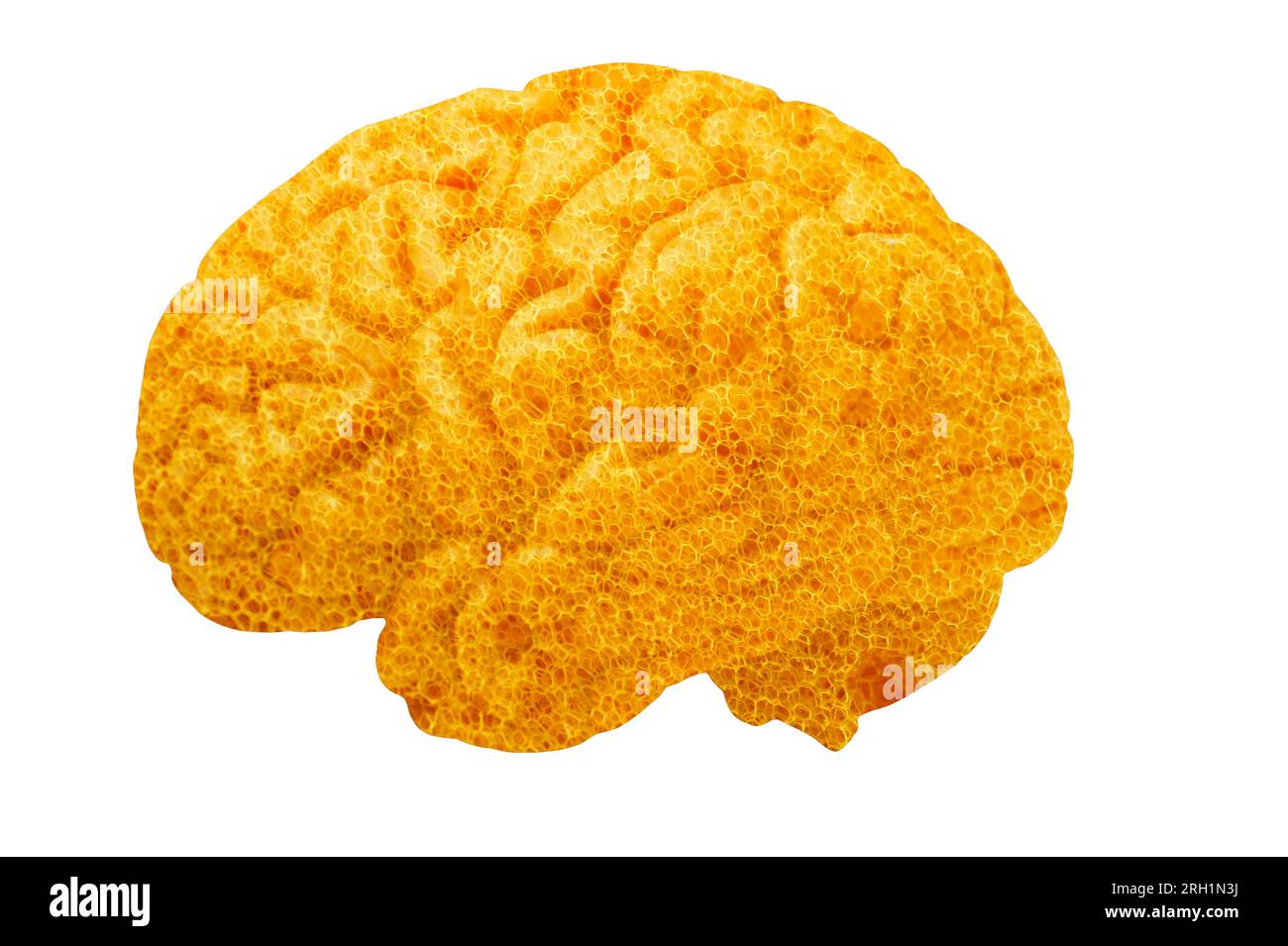 cervello umano fatto con una spugna come concetto per assorbire le informazioni Foto Stock