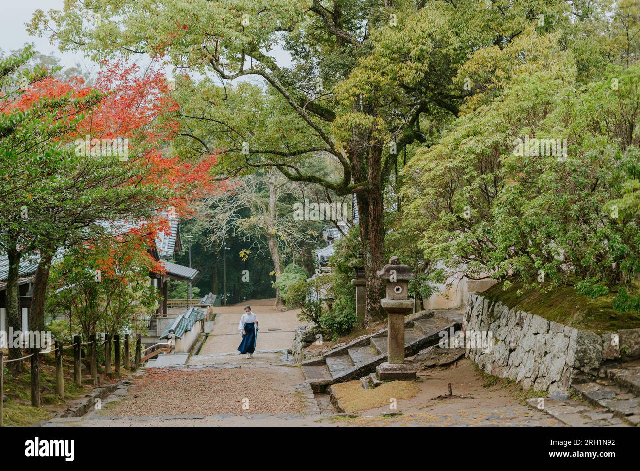 Nara, Giappone - 29 novembre 2022: Nara Deer Park strada del tempio autunnale Foto Stock