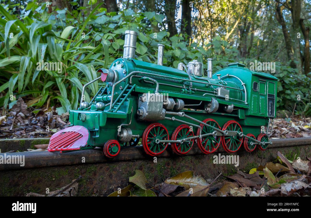 Modello di locomotiva a vapore verde con ruote rosse con sfondo boccola. Foto Stock
