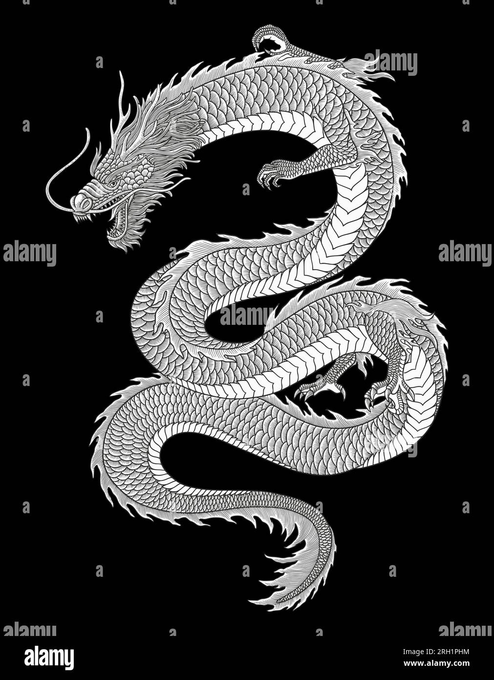 Illustrazione in stile disegno con incisione vintage del drago giapponese Illustrazione Vettoriale