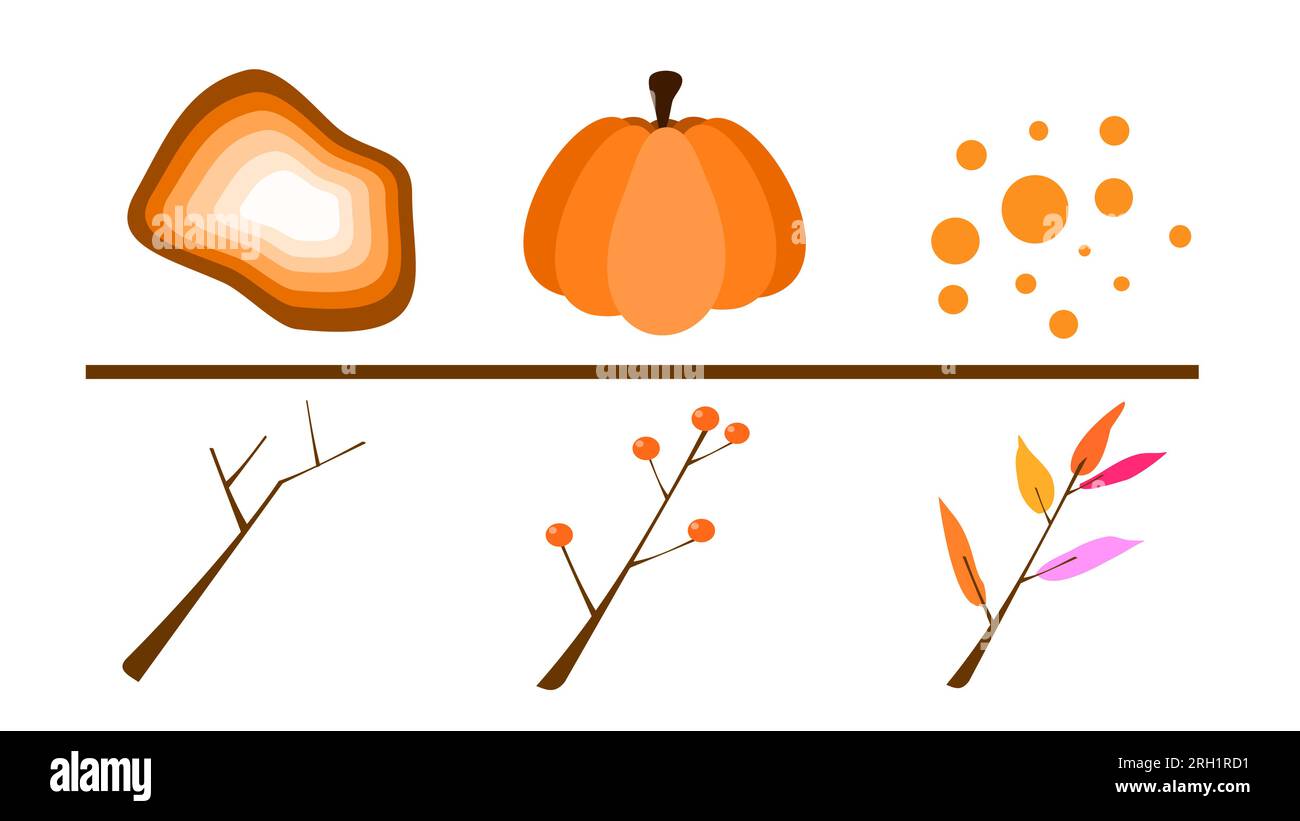 Rametti di zucca e altri elementi grafici di ispirazione autunnale e cottage. Illustrazione Vettoriale