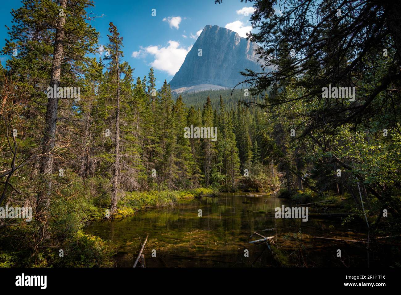 Vista di uno dei laghi sul sentiero dei laghi grassi a Canmore Foto Stock